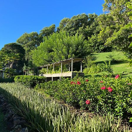 Отель Firefly Estate Bequia Крисент-Бич Экстерьер фото