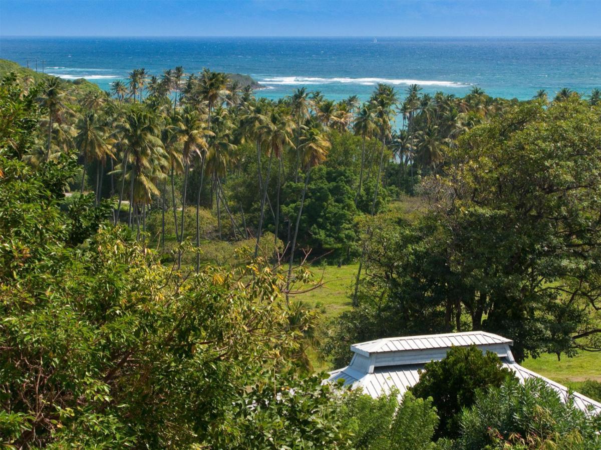 Отель Firefly Estate Bequia Крисент-Бич Экстерьер фото