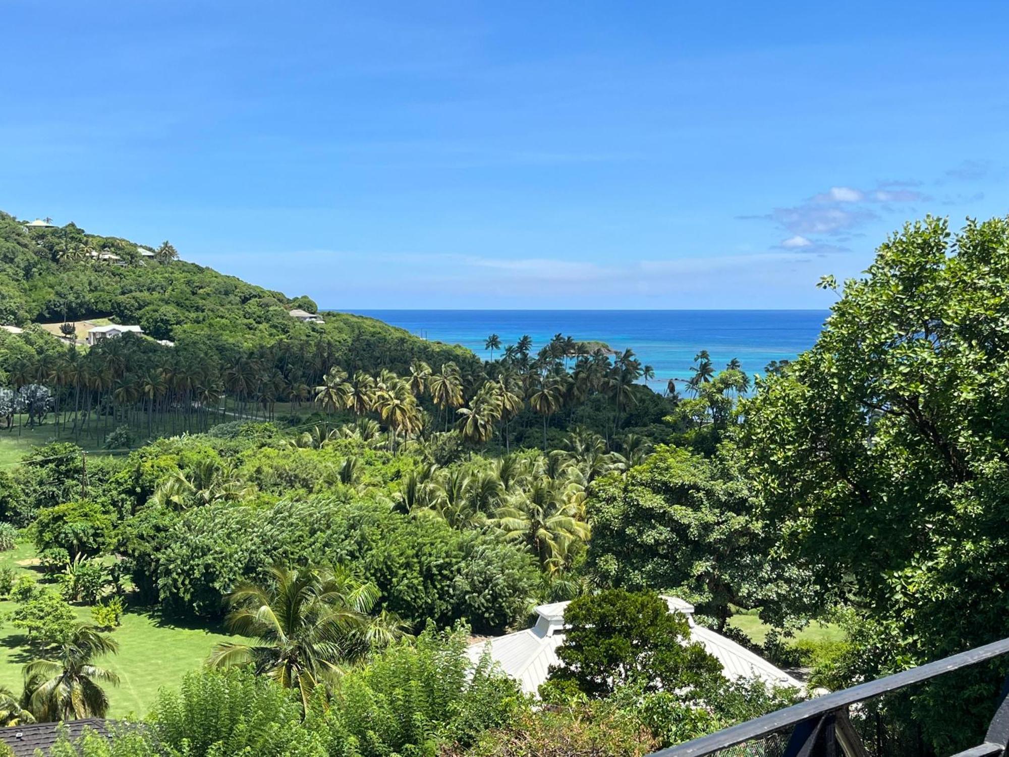 Отель Firefly Estate Bequia Крисент-Бич Экстерьер фото