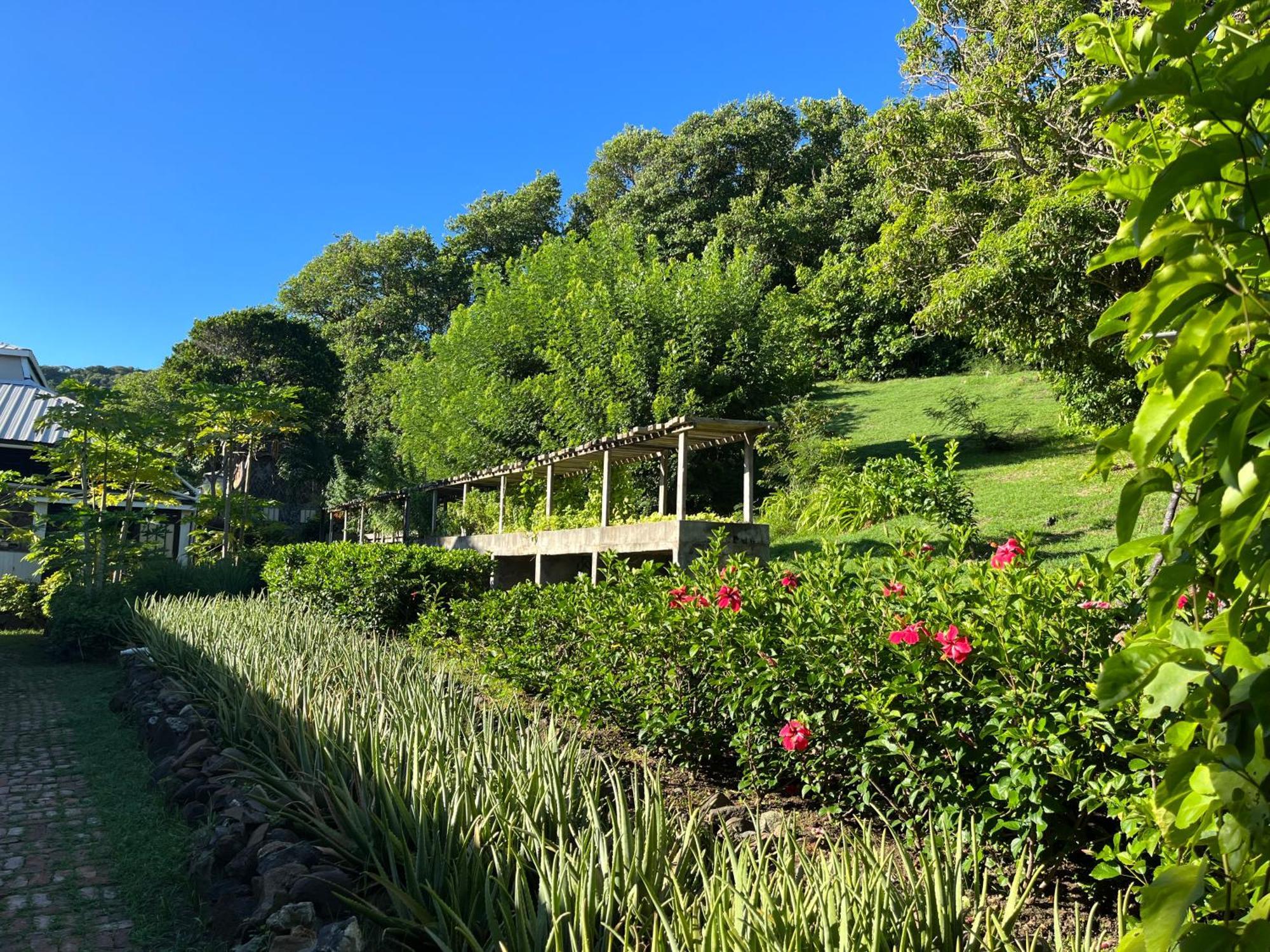 Отель Firefly Estate Bequia Крисент-Бич Экстерьер фото