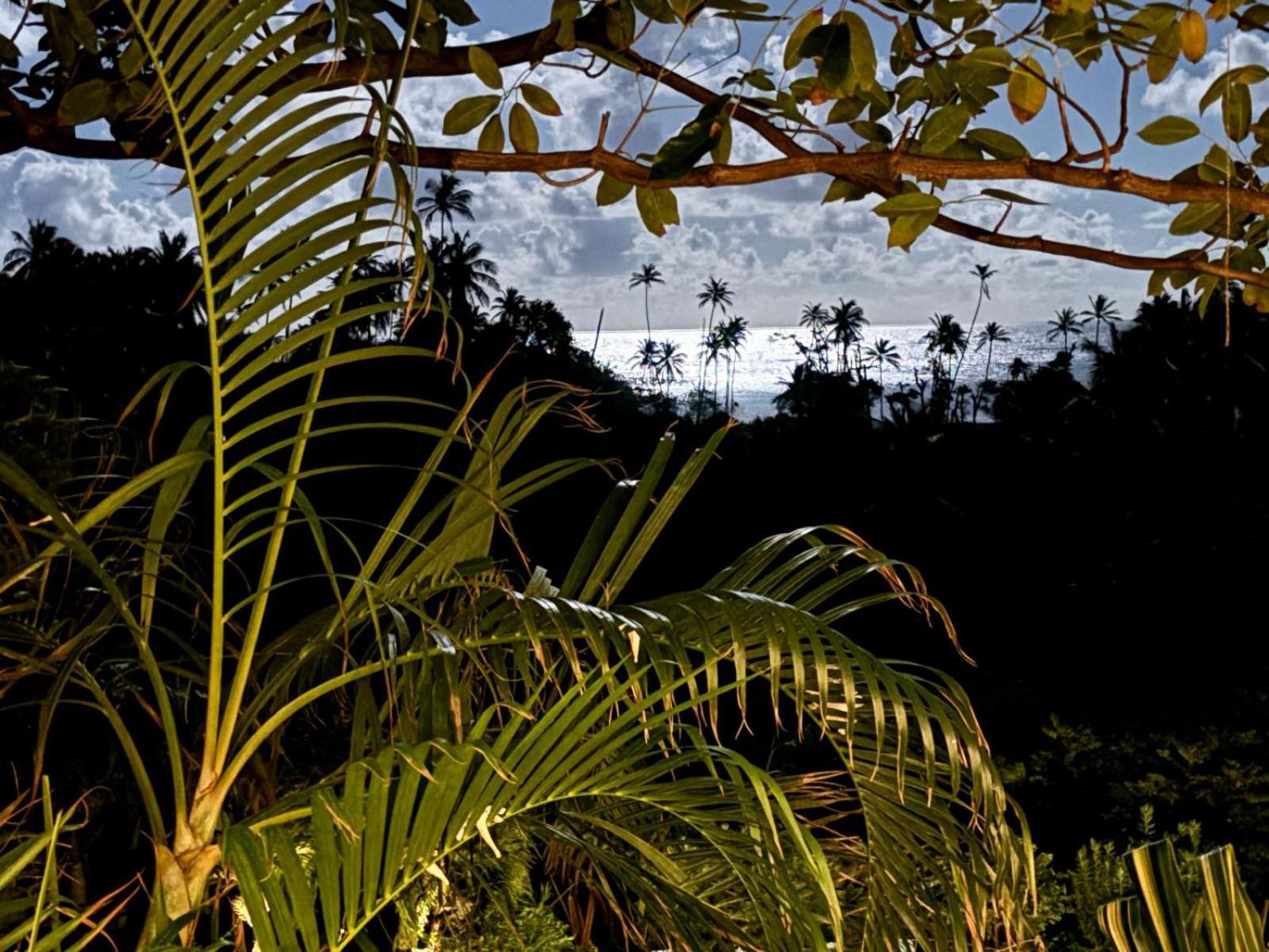 Отель Firefly Estate Bequia Крисент-Бич Экстерьер фото