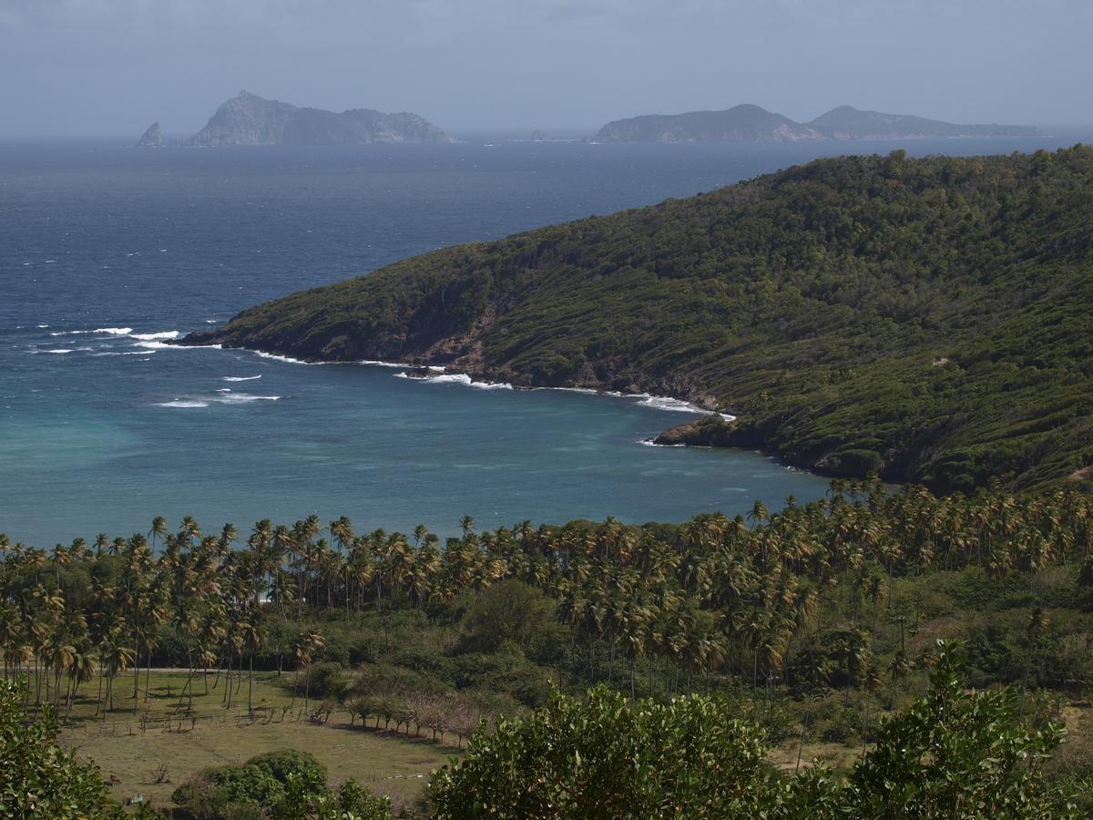 Отель Firefly Estate Bequia Крисент-Бич Экстерьер фото