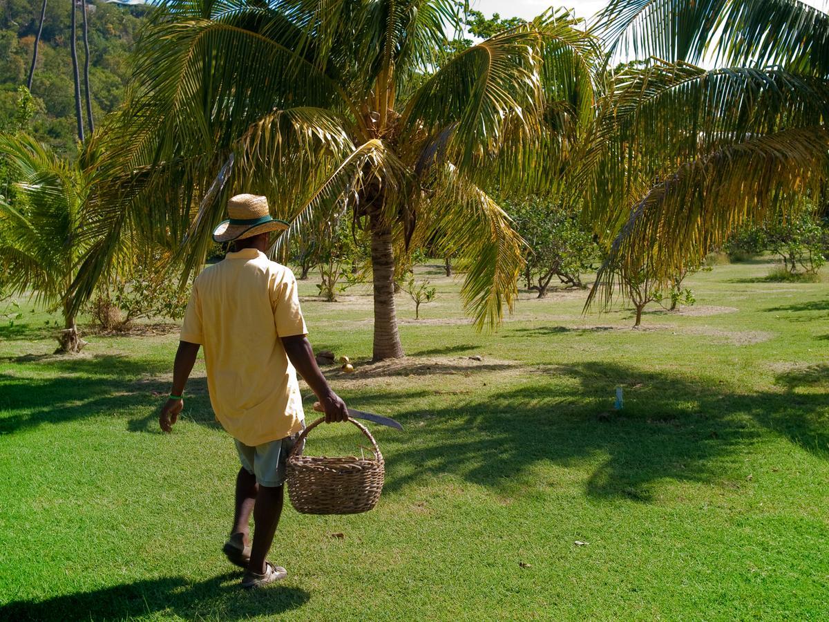 Отель Firefly Estate Bequia Крисент-Бич Экстерьер фото