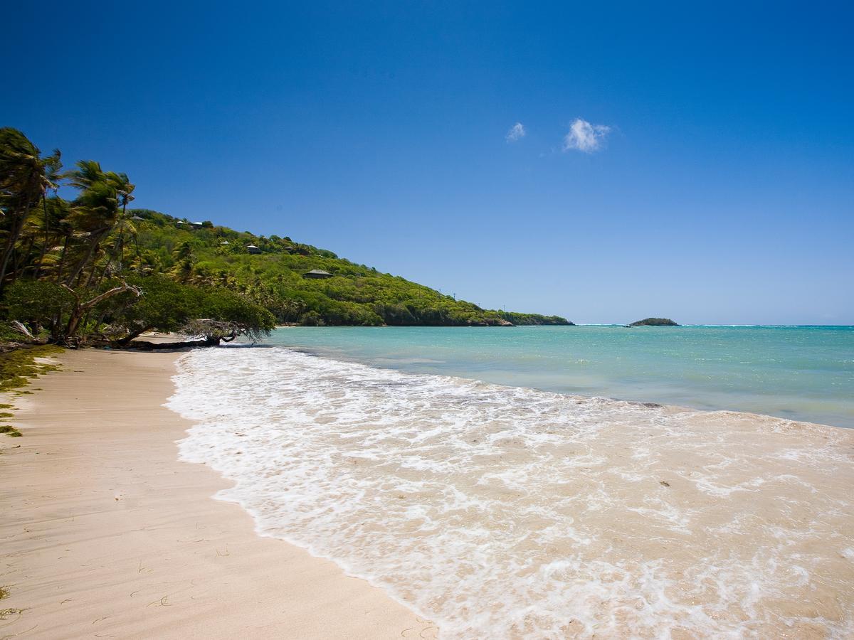 Отель Firefly Estate Bequia Крисент-Бич Экстерьер фото