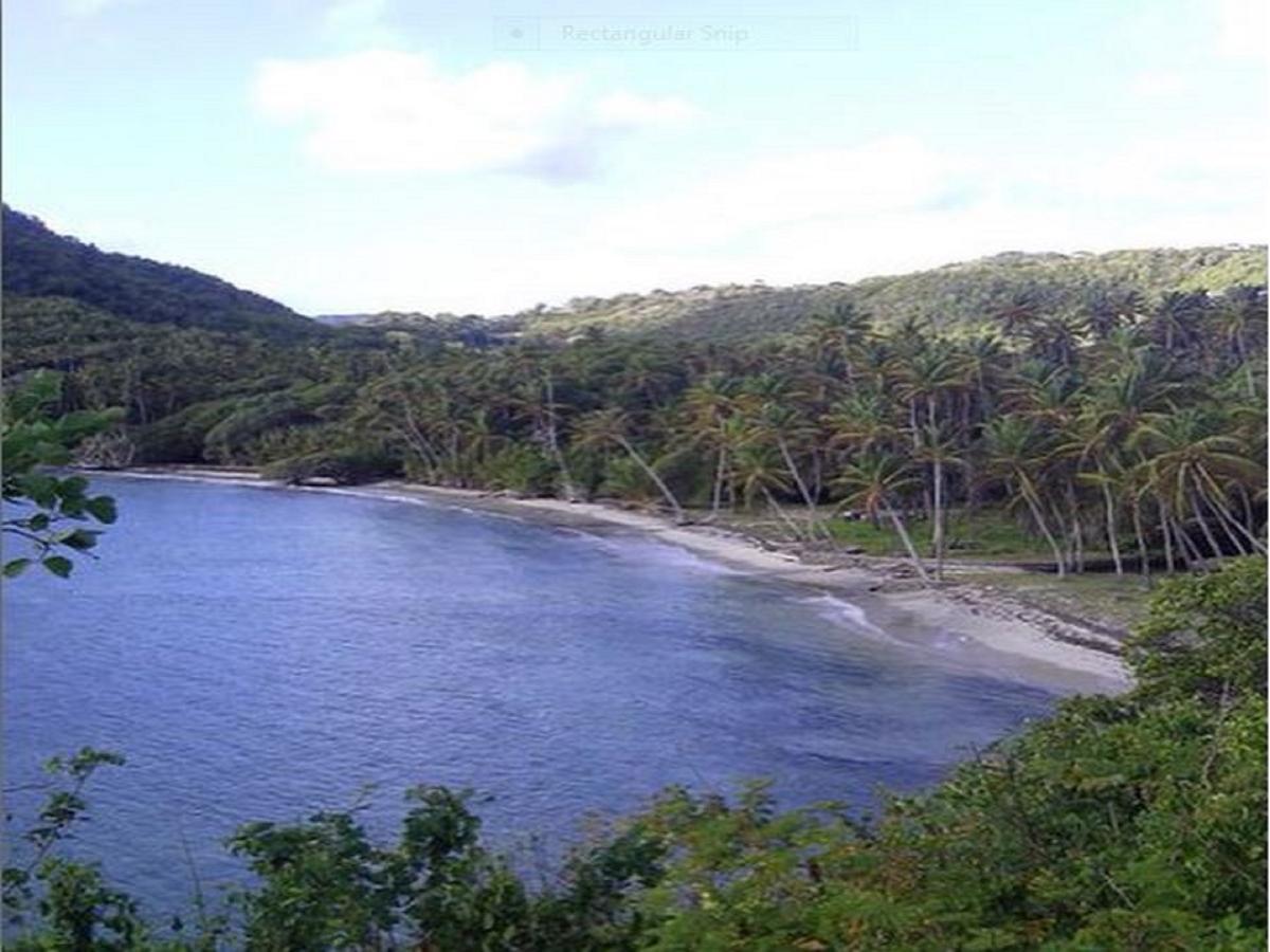 Отель Firefly Estate Bequia Крисент-Бич Экстерьер фото